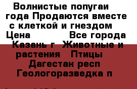 Волнистые попугаи, 2 года.Продаются вместе с клеткой и гнездом. › Цена ­ 2 800 - Все города, Казань г. Животные и растения » Птицы   . Дагестан респ.,Геологоразведка п.